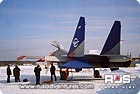 Su-30: Flight Training: parked at Ramenskoye